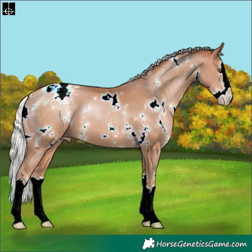 Horse Color:White Spotted Silver Brown Pearl Splash Appaloosa