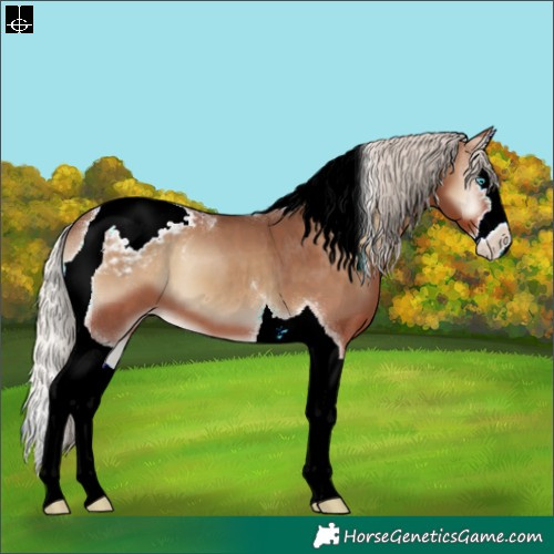 Horse Color:Silver Blue Onyx Splash Tobiano Snowcap 