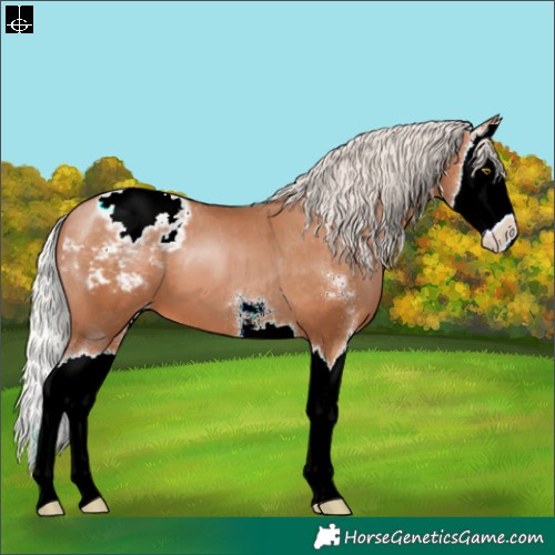 Horse Color:Silver Brown Pearl Sabino Splash Snowcap