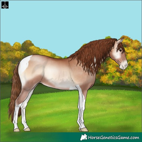 Horse Color:Brown Pearl Onyx Tobiano Rabicano 