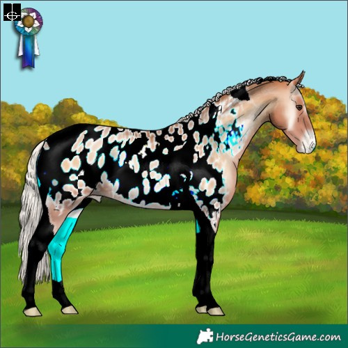 Horse Color:Silver Bay Pearl Onyx Tobiano Appaloosa Rabicano 