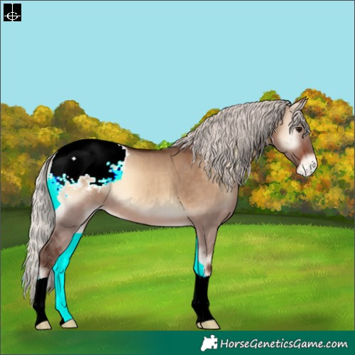 Horse Color:Silver Brown Onyx Appaloosa 