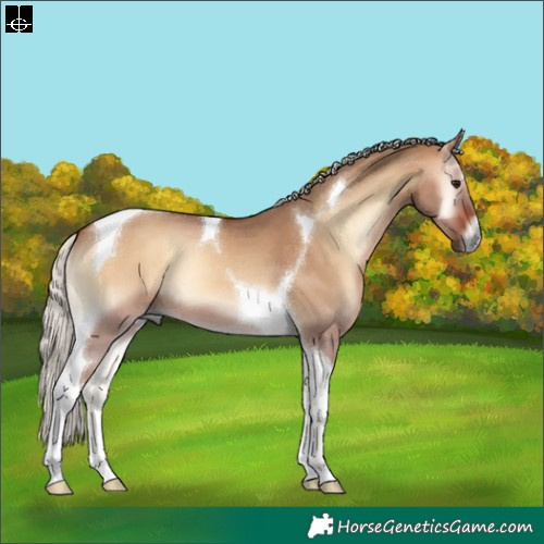 Horse Color:Silver Brown Onyx Tobiano 