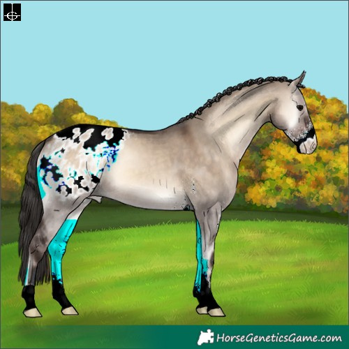 Horse Color:Brown Onyx Sabino Appaloosa