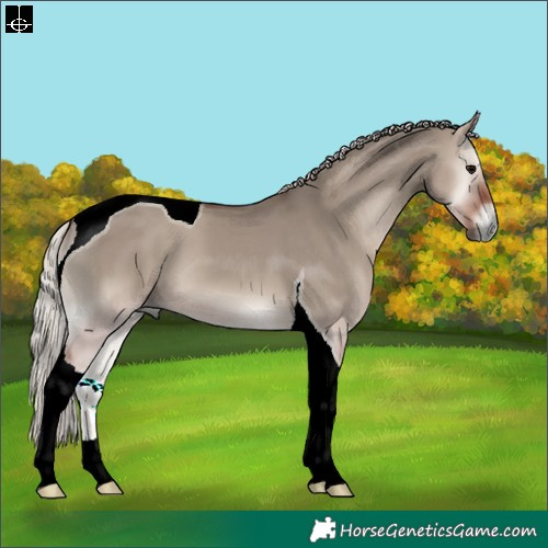 Horse Color:Silver Grullo Onyx Tobiano