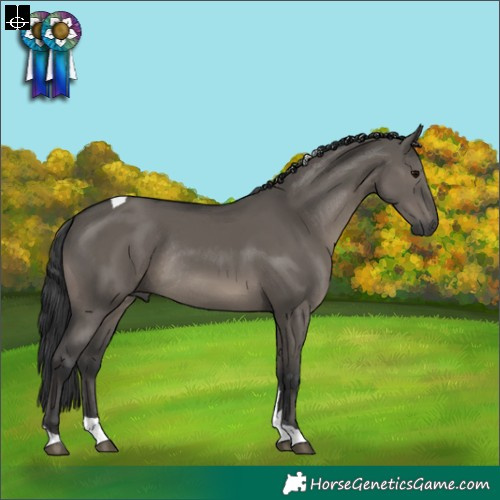 Horse Color:Grullo Tobiano Rabicano 