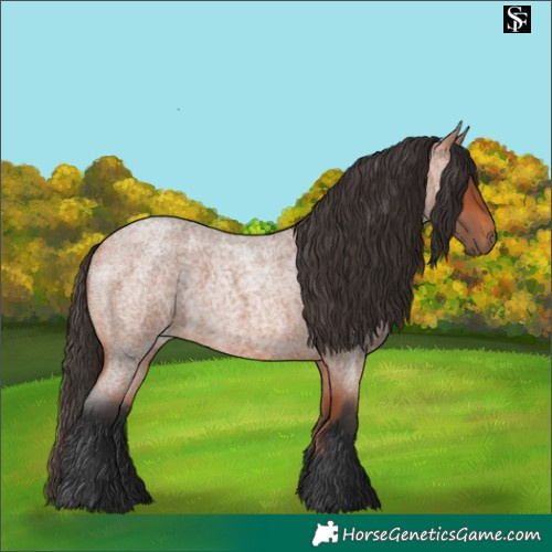 Horse Color:Bay Roan 