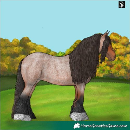 Horse Color:Bay Roan