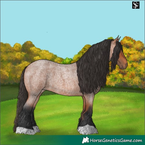Horse Color:Bay Roan 