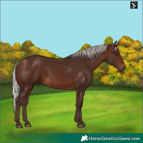 Horse Color:Silver Brown