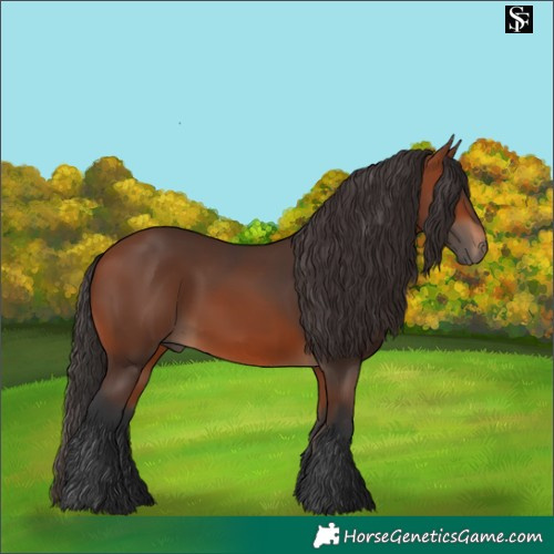 Horse Color:Bay 