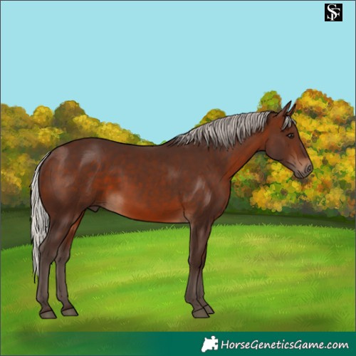 Horse Color:Silver Brown 