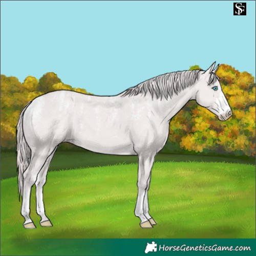 Horse Color:Powder White Platinum Chocolate Smoky Creme