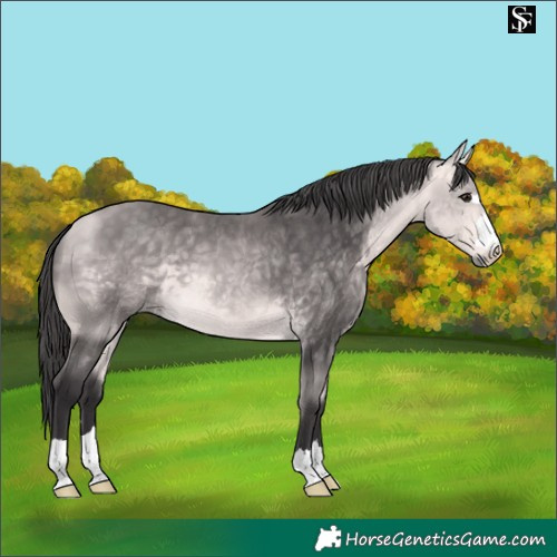 Horse Color:Platinum Buckskin