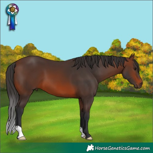 Horse Color:Brown 