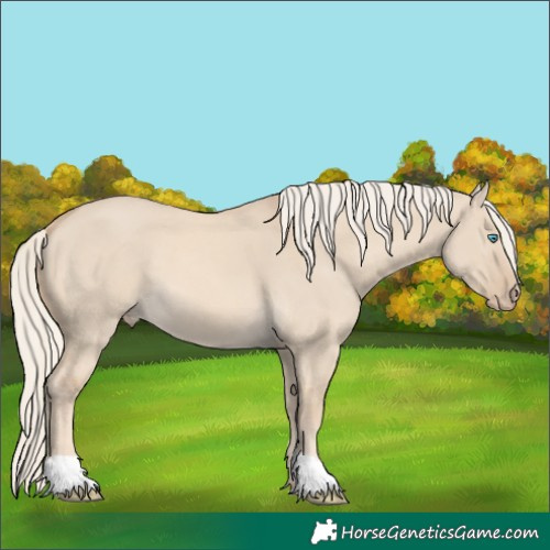 Horse Color:Cremello Dun 