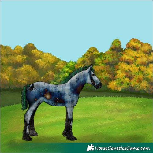 Horse Color:ERROR: UNKNOWN ANOMALY