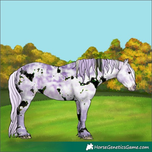 Horse Color:Watercolor White Spotted Silver Brown Ice