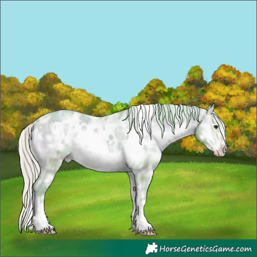 Horse Color:Watercolor White Spotted Silver Sable Champagne Ice Onyx