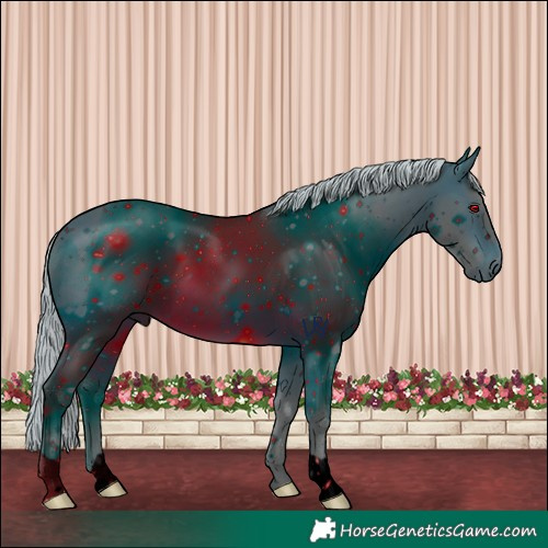 Horse Color:ERROR: UNKNOWN ANOMALY