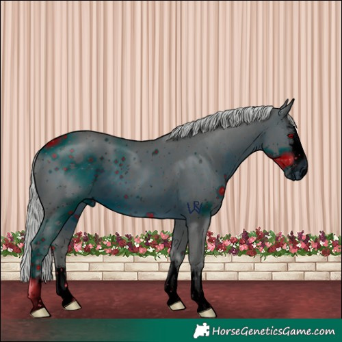 Horse Color:ERROR: UNKNOWN ANOMALY