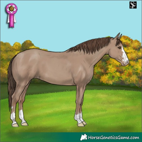 Horse Color:Classic Champagne Skewed LP Spotted