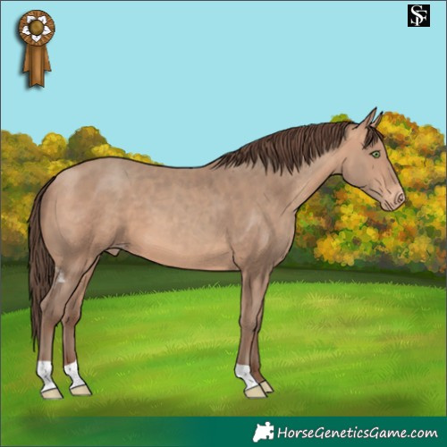 Horse Color:Amber Champagne Skewed LP Spotted 
