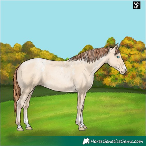 Horse Color:Powder White Classic Cream Champagne Pearl Skewed LP Spotted