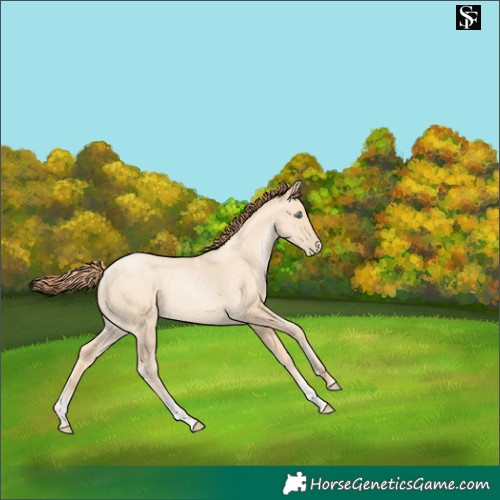 Horse Color:Powder White Sable Cream Champagne Pearl 