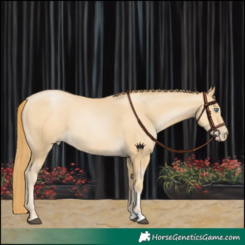 Horse Color:Black Snowdrop Pearl