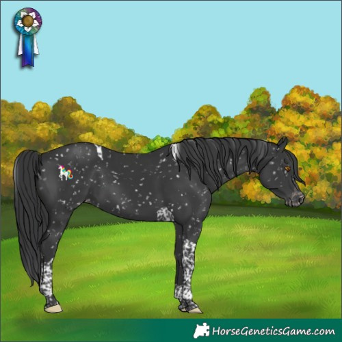 Horse Color:Black Tobiano Snowflake Varnish