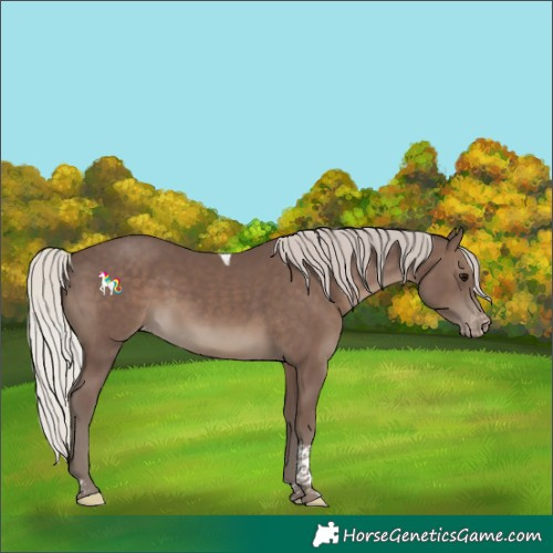 Horse Color:Silver Black Tobiano Varnish