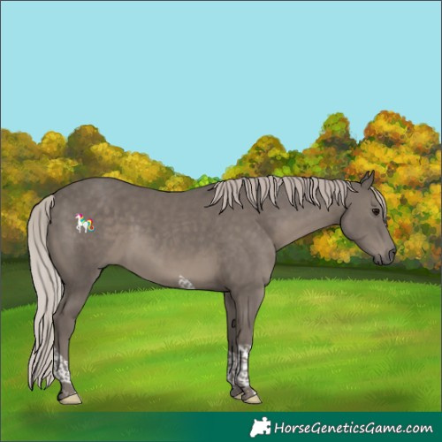 Horse Color:Silver Black Tobiano