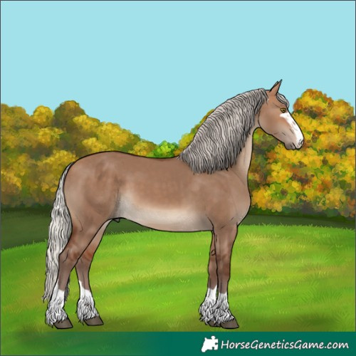 Horse Color:Silver Bay Dun