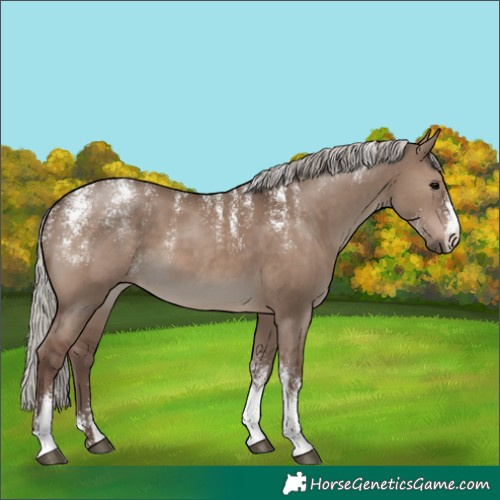 Horse Color:Powder White Silver Grullo 