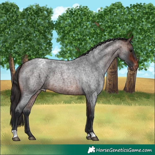 Horse Color:Brown Roan Varnish