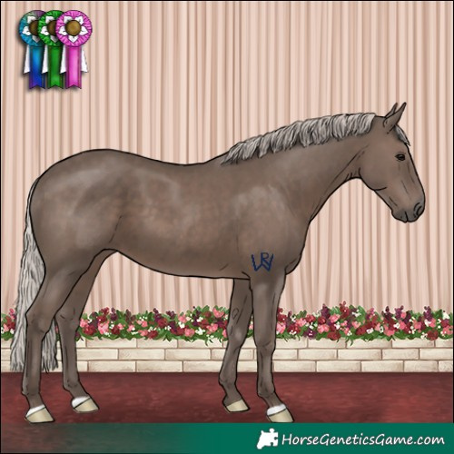 Horse Color:Silver Black
