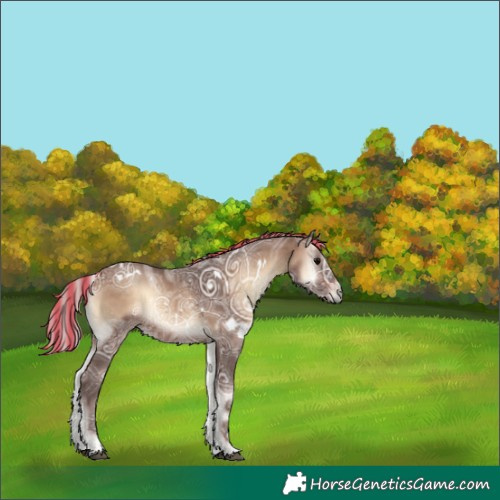 Horse Color:Painted White Spotted Silver Brown Ice Onyx Rabicano