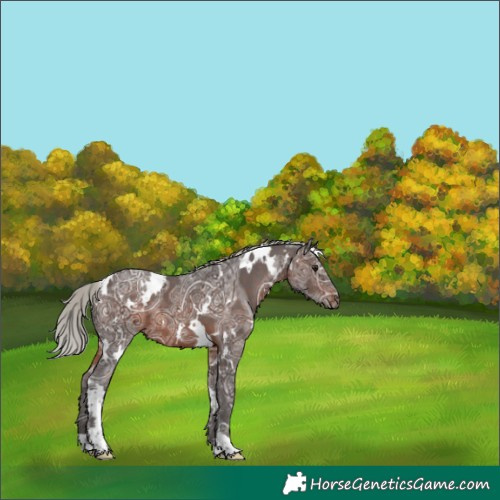 Horse Color:White Spotted Silver Brown Ice 