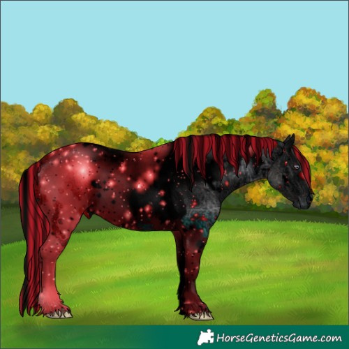 Horse Color:ERROR: UNKNOWN ANOMALY