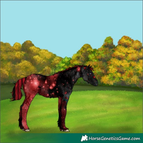 Horse Color:ERROR: UNKNOWN ANOMALY