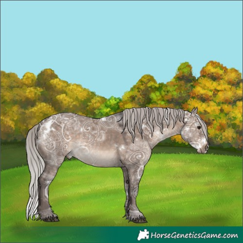 Horse Color:White Spotted Silver Brown Ice Dun Rabicano
