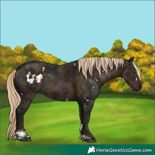 Horse Color:White Spotted Midnight Chocolate Palomino Ice Tobiano