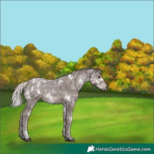Horse Color:White Spotted Silver Black Ice Rabicano