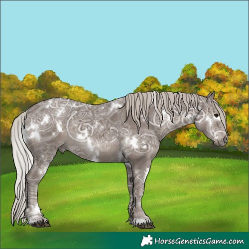 Horse Color:White Spotted Silver Black Ice Rabicano