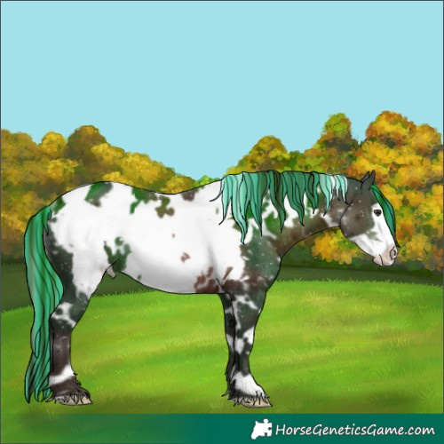 Horse Color:Painted White Spotted Liver Chestnut Frame Rabicano