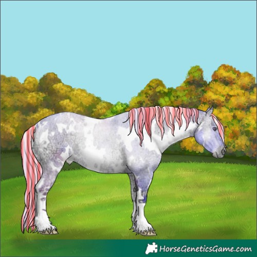 Horse Color:Painted Watercolor White Spotted Silver Brown Chinchilla Ice Onyx 