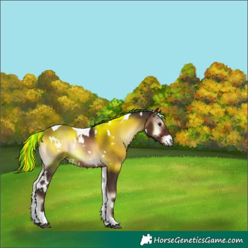 Horse Color:Painted White Spotted Liver Red Onyx Tobiano