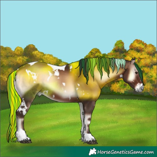 Horse Color:Painted White Spotted Liver Red Onyx Tobiano