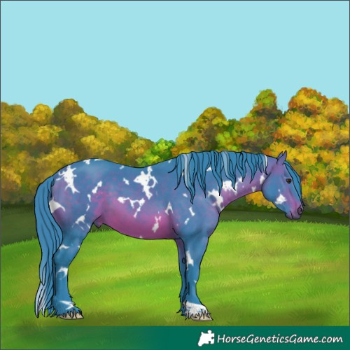 Horse Color:Watercolor White Spotted Brown Mushroom